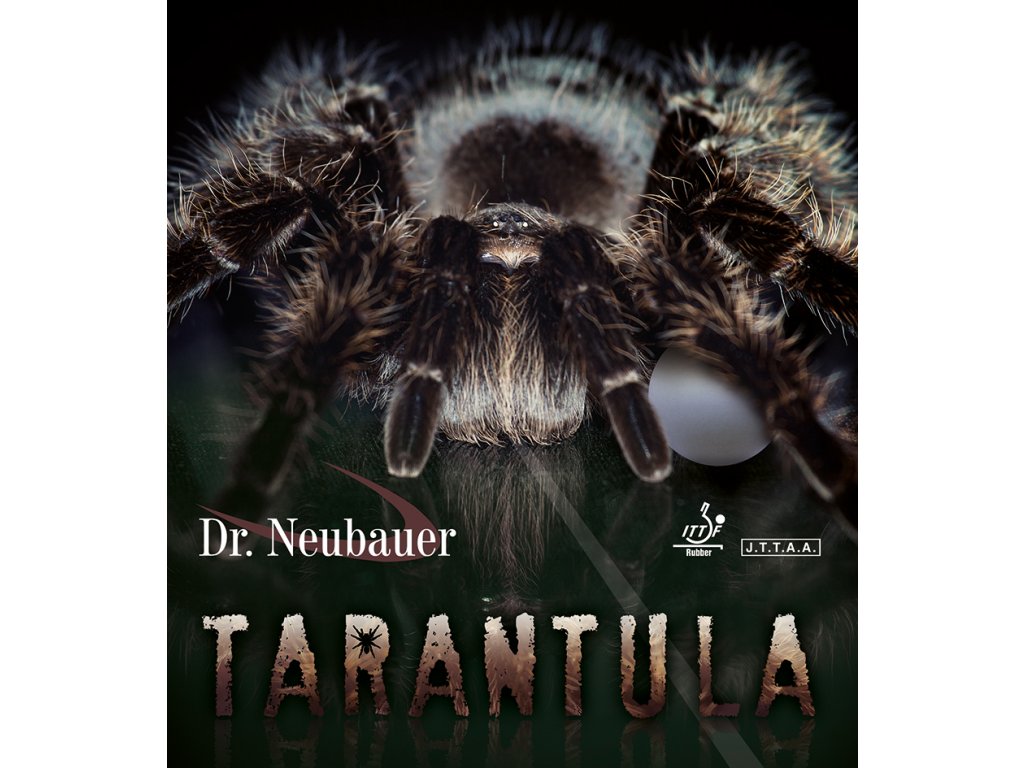 Dr.Neubauer - rubber TARANTULA